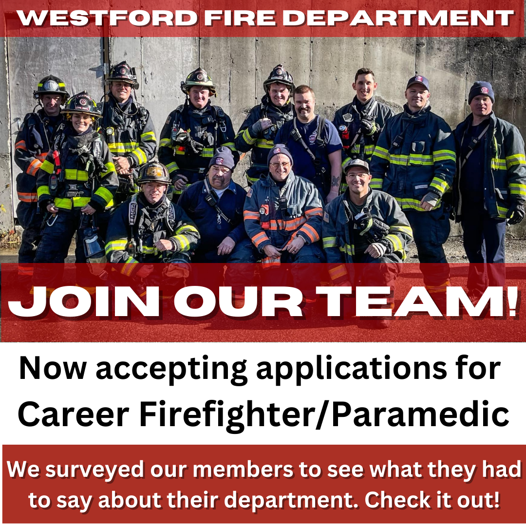 What our members have to say