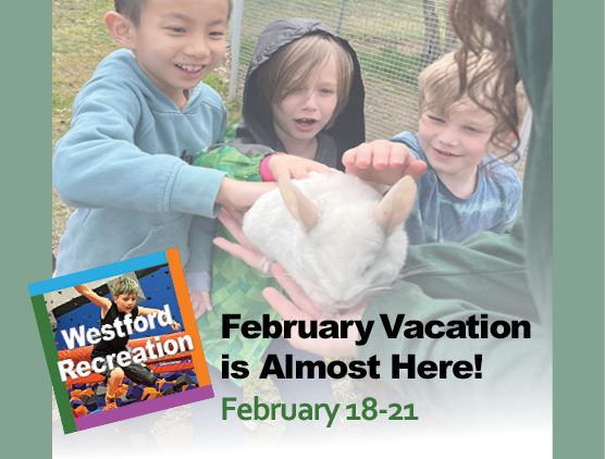 Westford Recreation February Vacation for kids