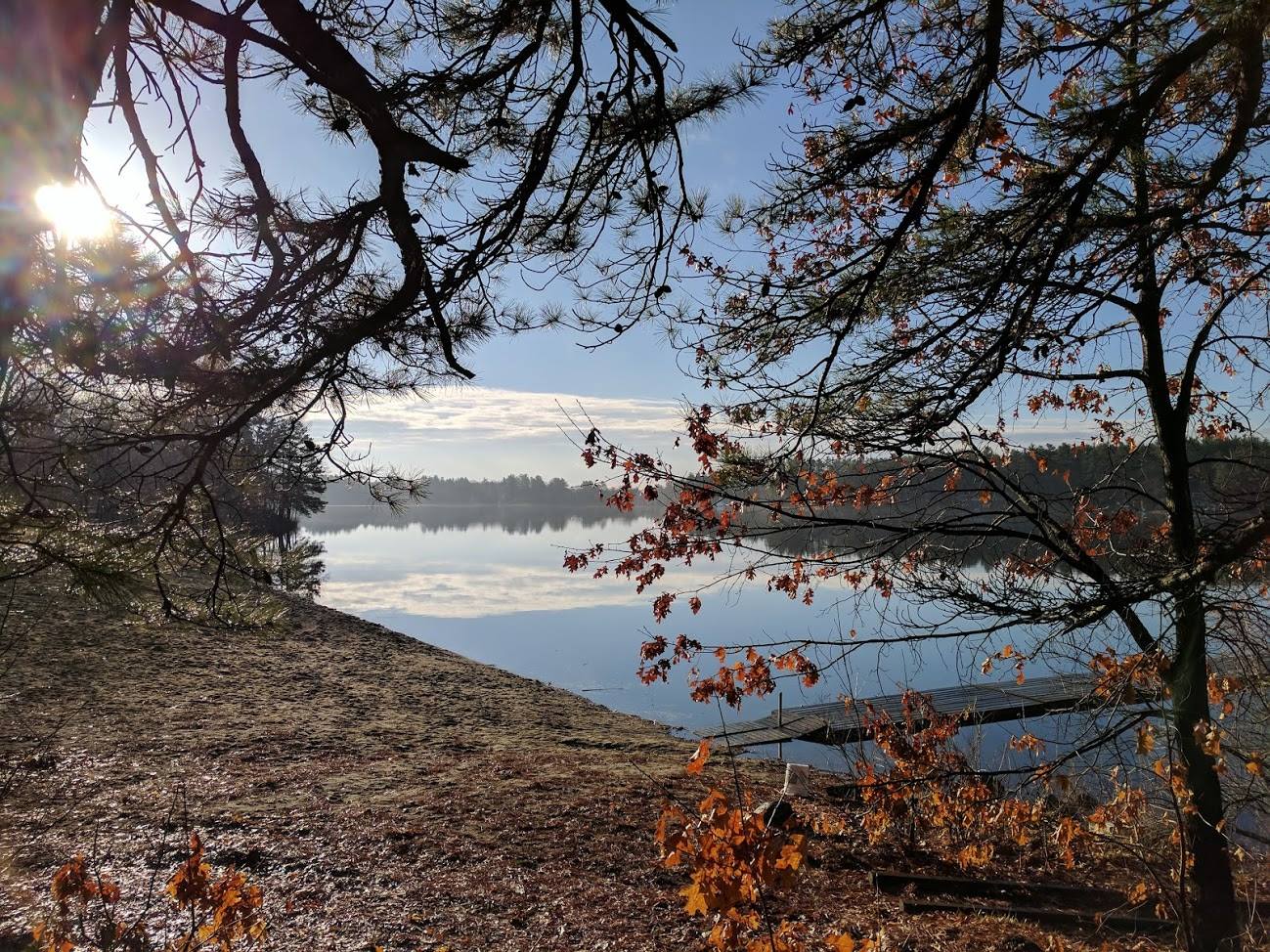 Nature view from woods looking at a body of water